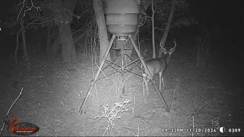 River Canyon Ranch - Land