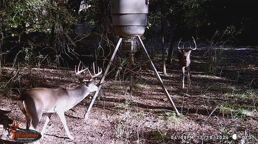 Presenting this hard to find AG EXEMPT property with Brazos River access deep in the heart of Palo Pinto County and in the highly sought after SANTO ISD! Surrounded by the Palo Pinto Mountains, skirted by a beautiful solid rock bottom creek and just a quick hike to the Brazos River... it has to be one of the prettiest tracts in this subdivision. Unique with its towering mature Oak trees, improved trails to hike and enjoy the abundant wildlife and open range livestock, this lot is sure to provide the privacy and serenity you've been looking for. Soak in God's beautiful creation on a hike down the creek bed to enjoy the Brazos River... or take a drive through the ranch to the Community River Access where a kayak can easily be launched at the brand new dock!  This property in River Canyon Ranch is only about 8 miles to Lake Palo Pinto, 12 miles to Santo, and just 70 miles west of Fort Worth! Make it yours today! All info is deemed reliable but not guaranteed and should be verified.