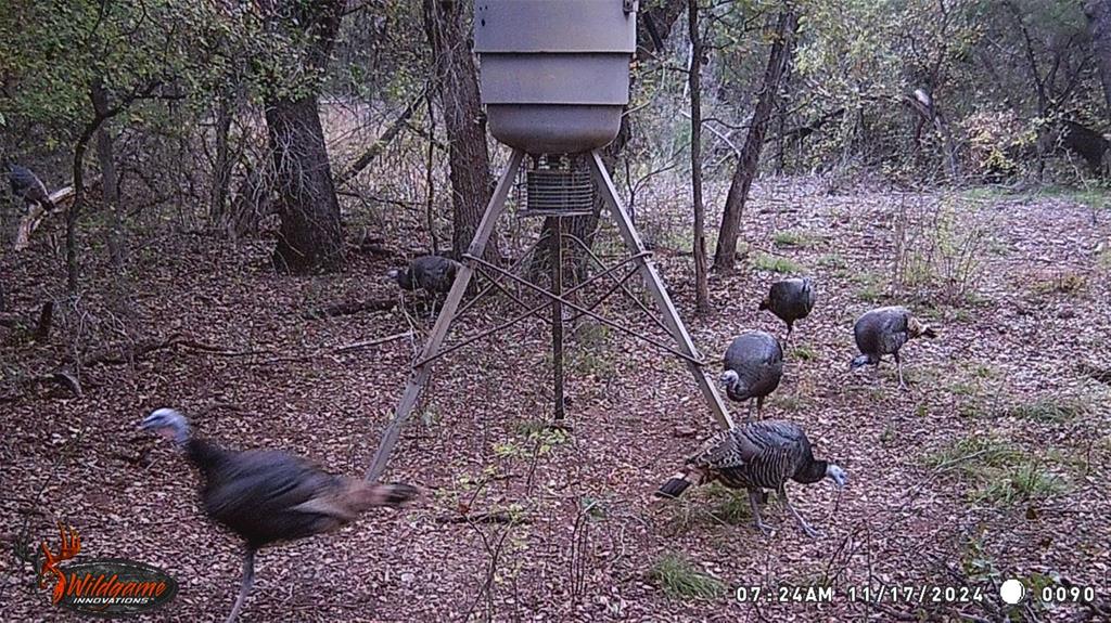 River Canyon Ranch - Land