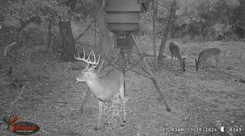 River Canyon Ranch - Land