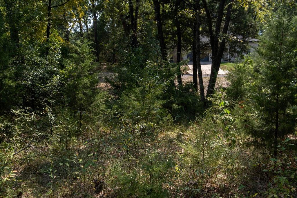 Indian Harbor Sec B - Land