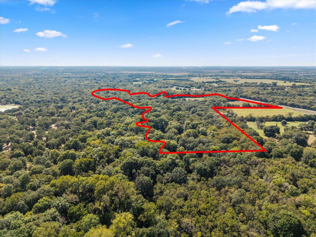 Juliet Porter Surv Abs #819 - Land