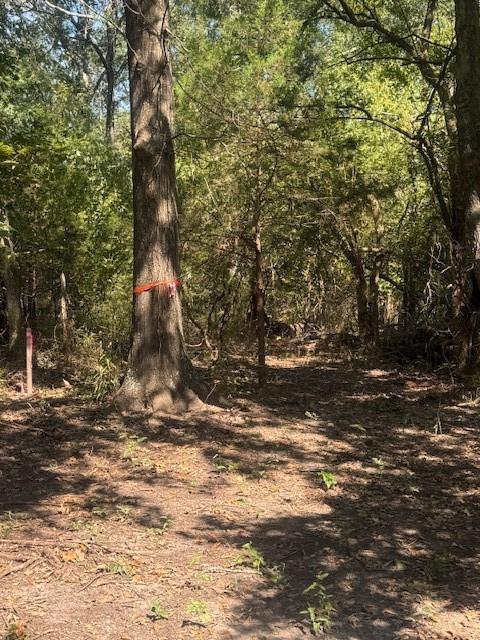 Juliet Porter Surv Abs #819 - Land