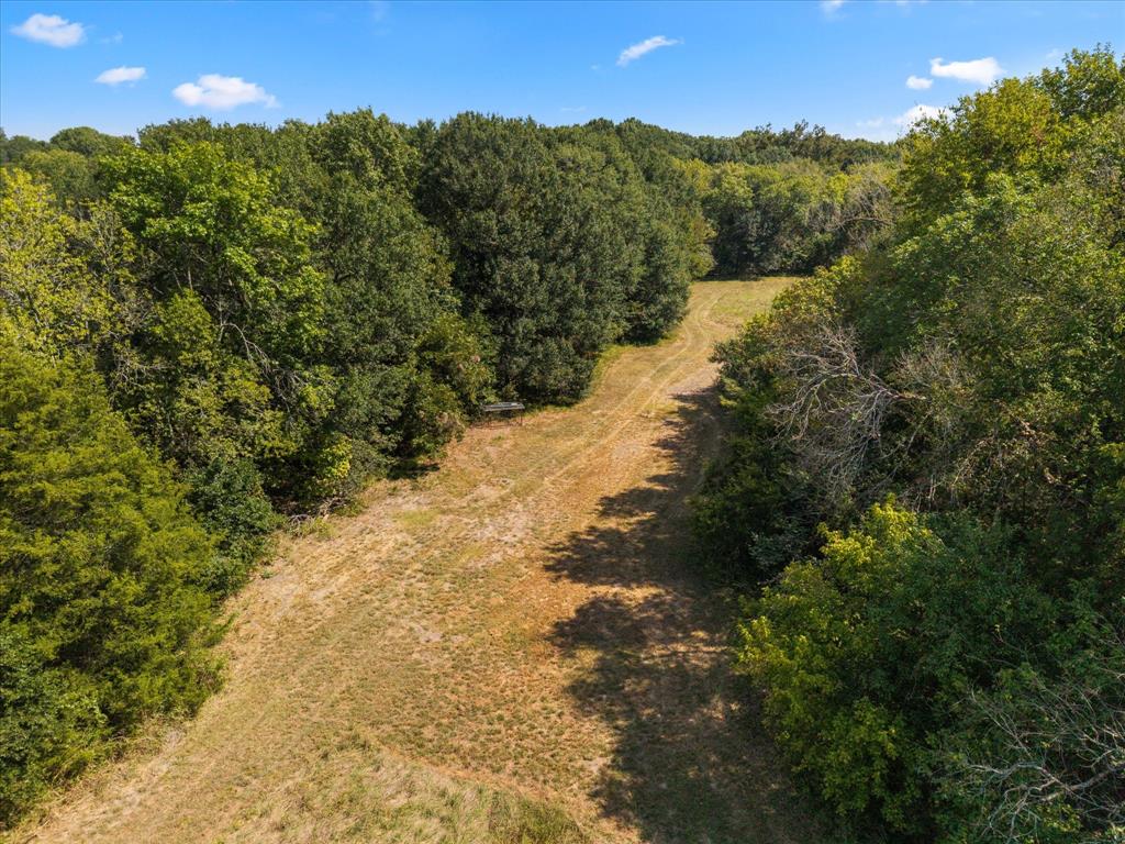 Juliet Porter Surv Abs #819 - Land