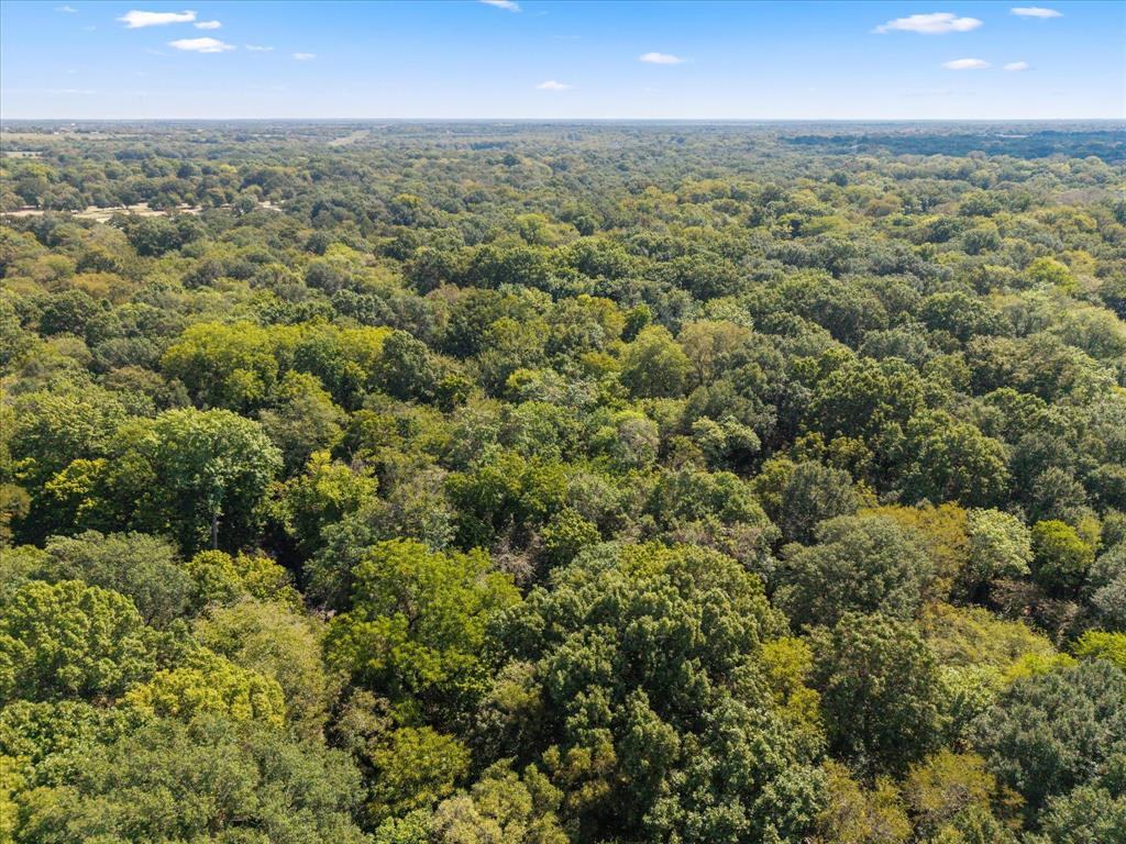 Juliet Porter Surv Abs #819 - Land