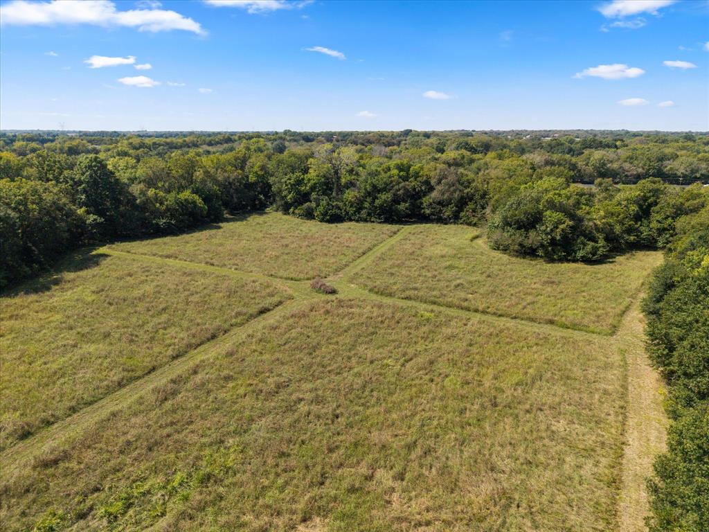 Juliet Porter Surv Abs #819 - Land