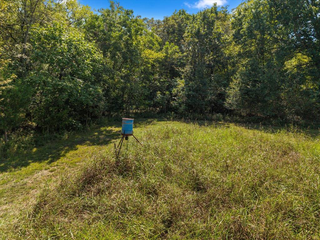 Juliet Porter Surv Abs #819 - Land