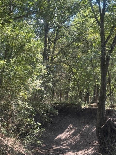 Juliet Porter Surv Abs #819 - Land