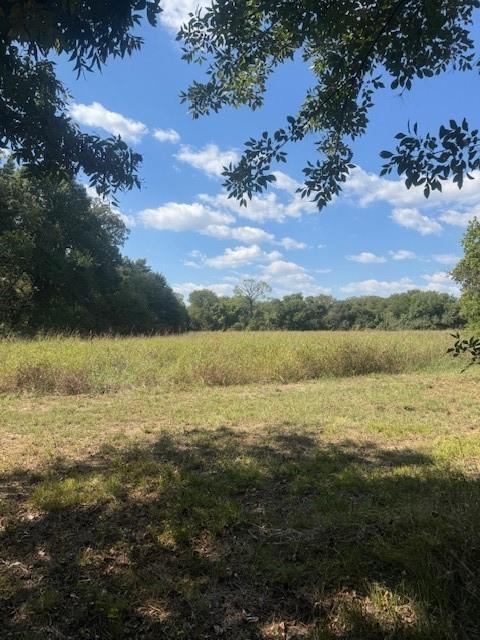 Juliet Porter Surv Abs #819 - Land