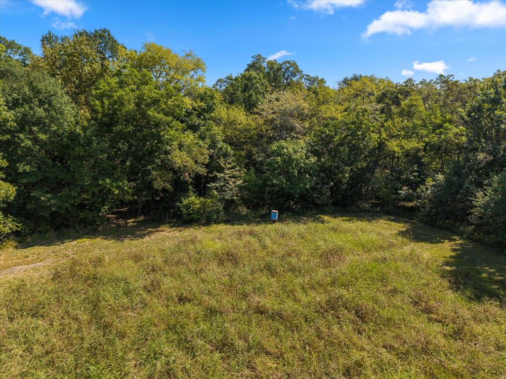 Juliet Porter Surv Abs #819 - Land