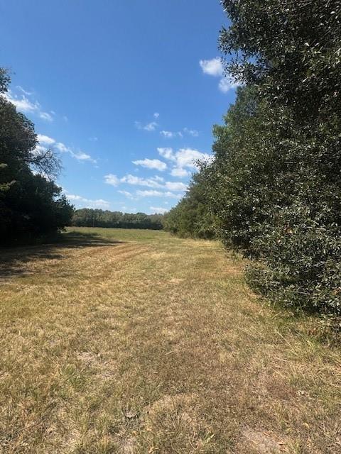 Juliet Porter Surv Abs #819 - Land