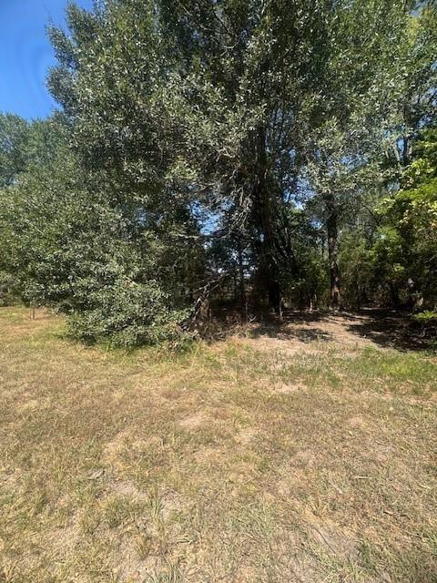 Juliet Porter Surv Abs #819 - Land