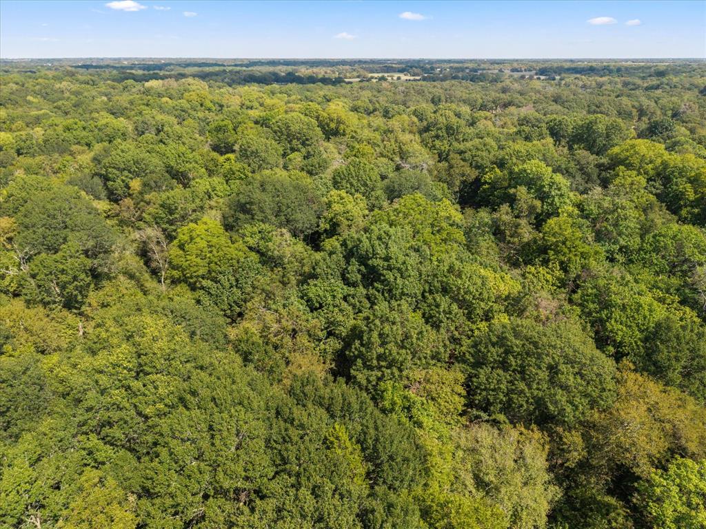 Juliet Porter Surv Abs #819 - Land