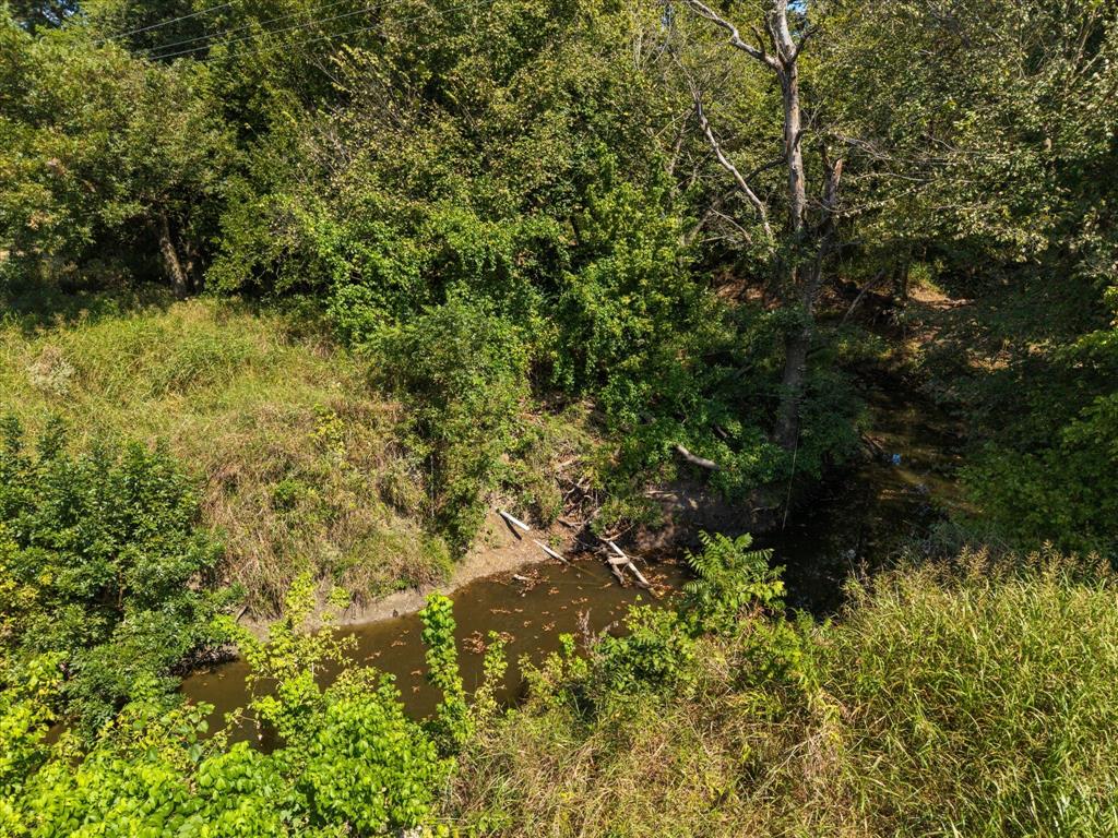 Juliet Porter Surv Abs #819 - Land