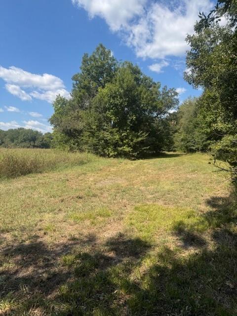 Juliet Porter Surv Abs #819 - Land