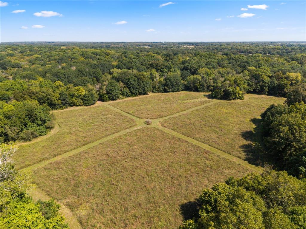 Juliet Porter Surv Abs #819 - Land