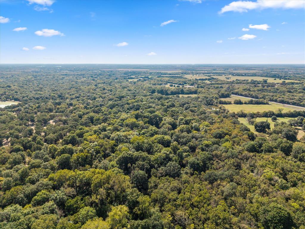 Juliet Porter Surv Abs #819 - Land