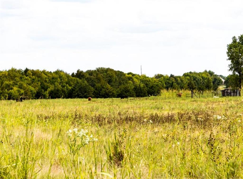 View Leonard, TX 75452 land