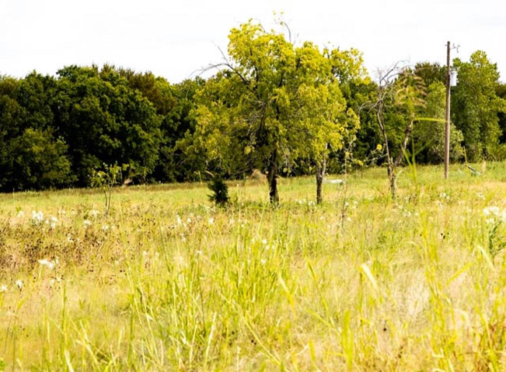 Photo 5 of 16 of 320 County Road 4840 land
