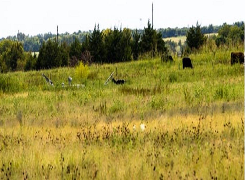 Photo 6 of 16 of 320 County Road 4840 land