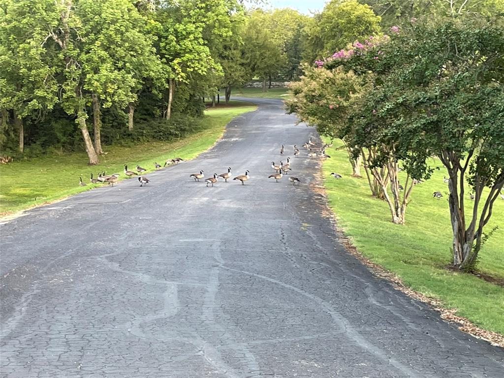 Woodland Hills Add - Residential