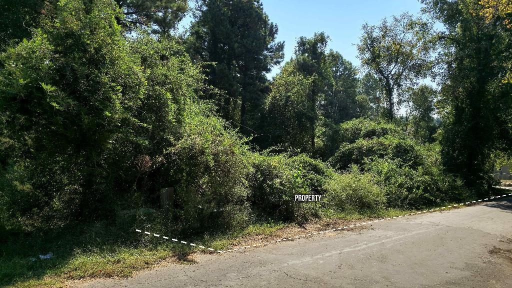 Holbrook Estates - Land