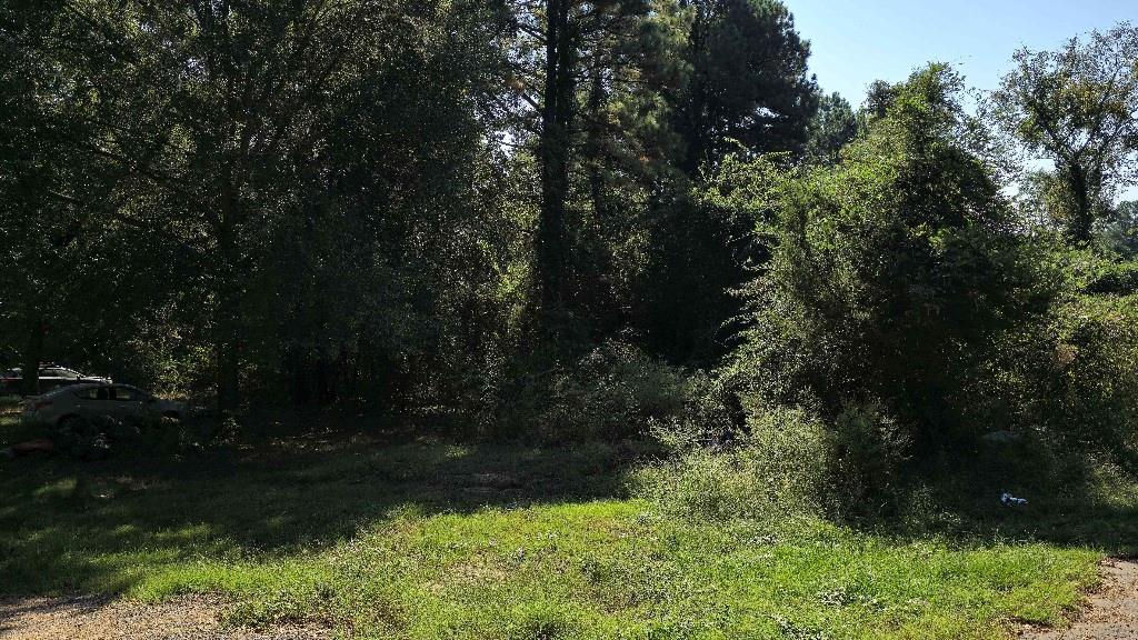 Holbrook Estates - Land