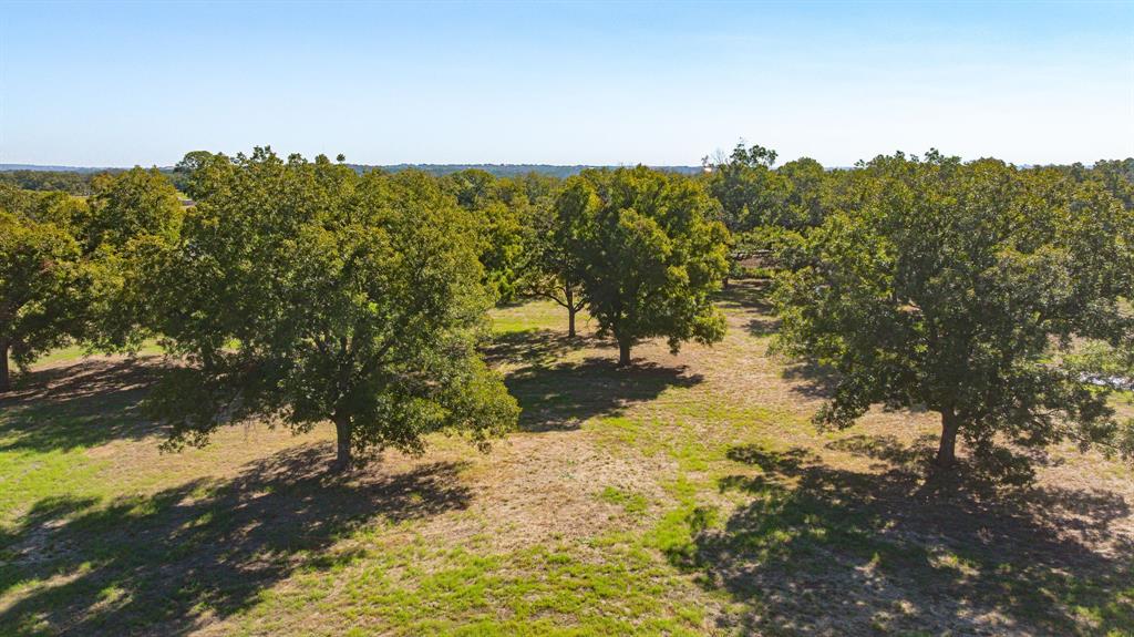 1650 Old Tin Top Road