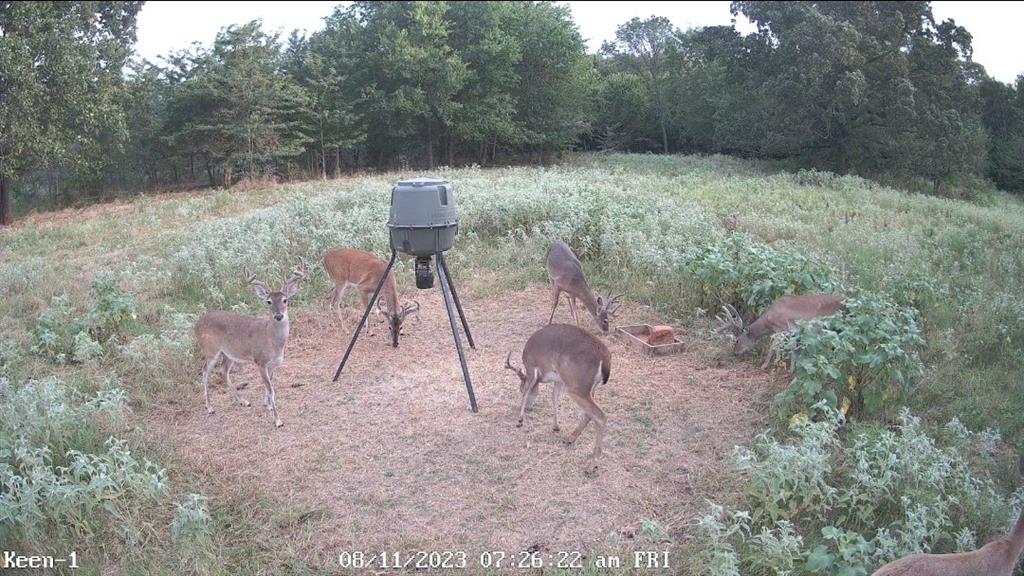 Post Oak Lakes - Land