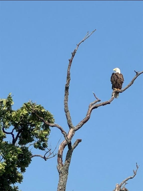 Post Oak Lakes - Land