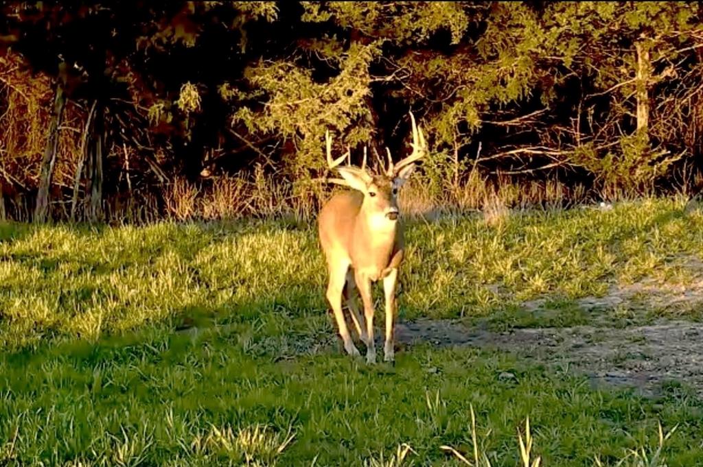 Post Oak Lakes - Land