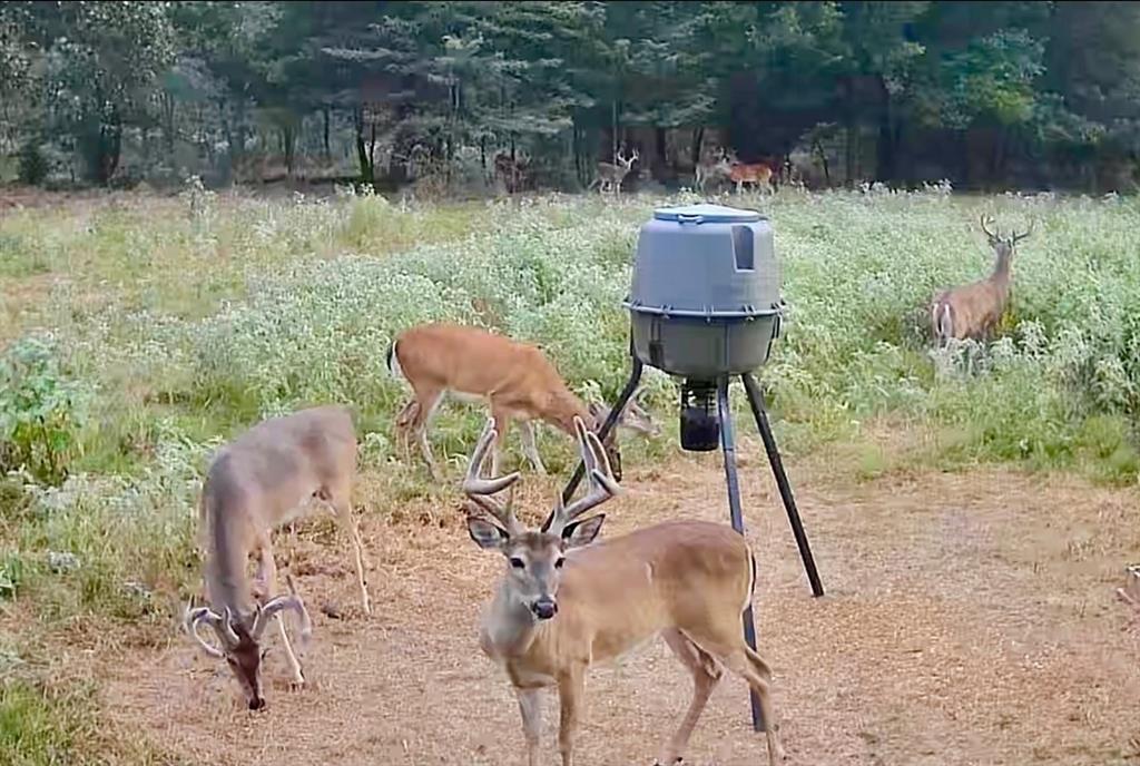 Post Oak Lakes - Land