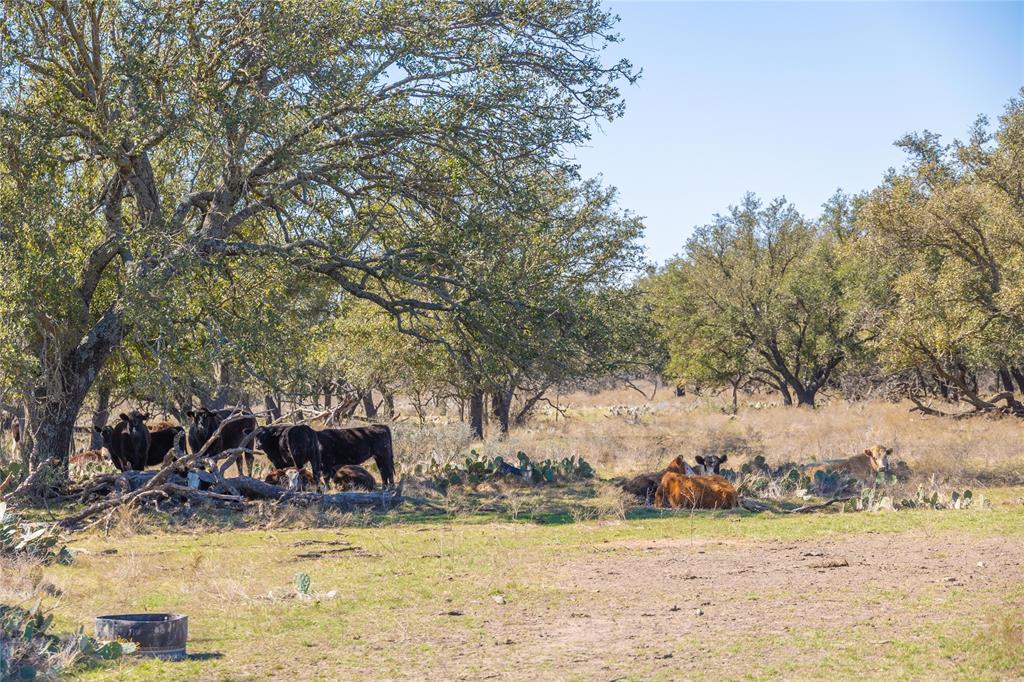 see private remarks - Farm