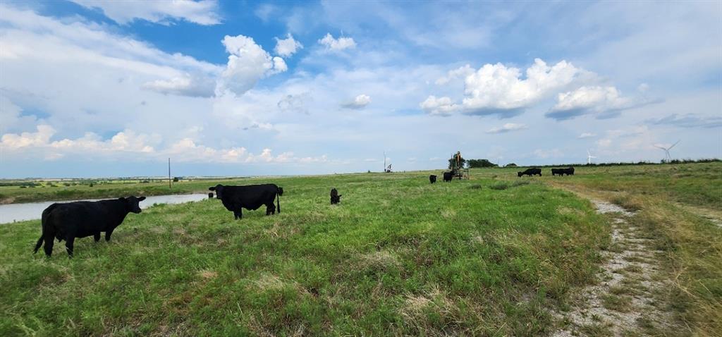 Yarborough Pg - Farm