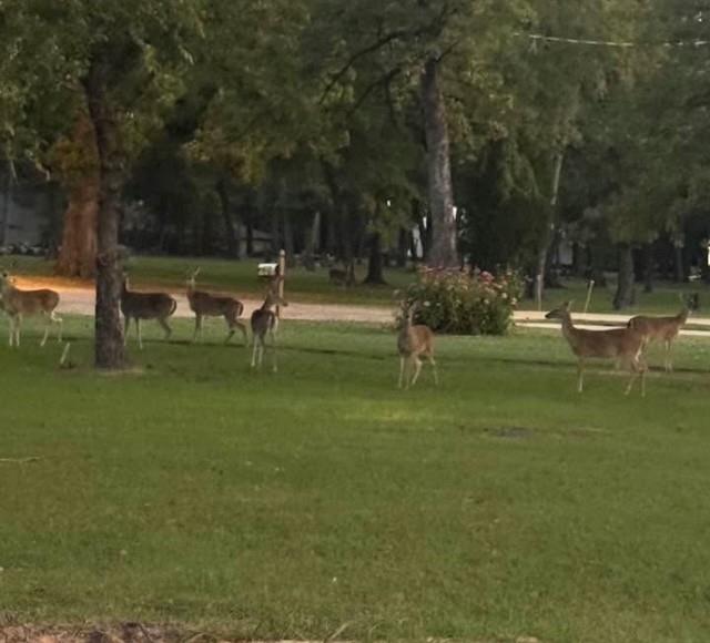 Star Harbor - Residential
