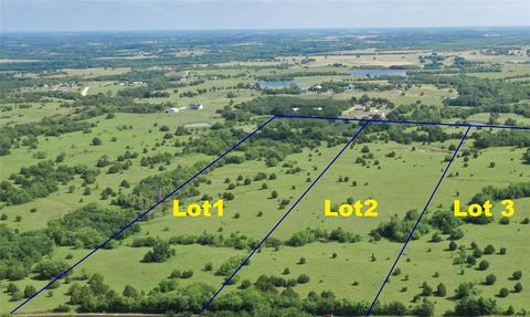 TBD Lot 2 County Road 703 Farmersville TX 75442