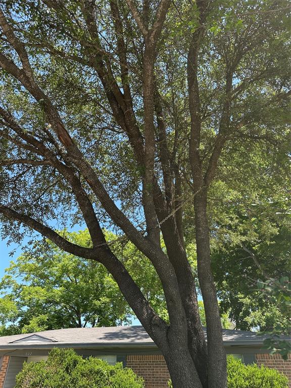 602 W Karnes