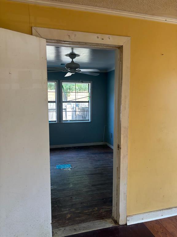 Bellevue - Residential