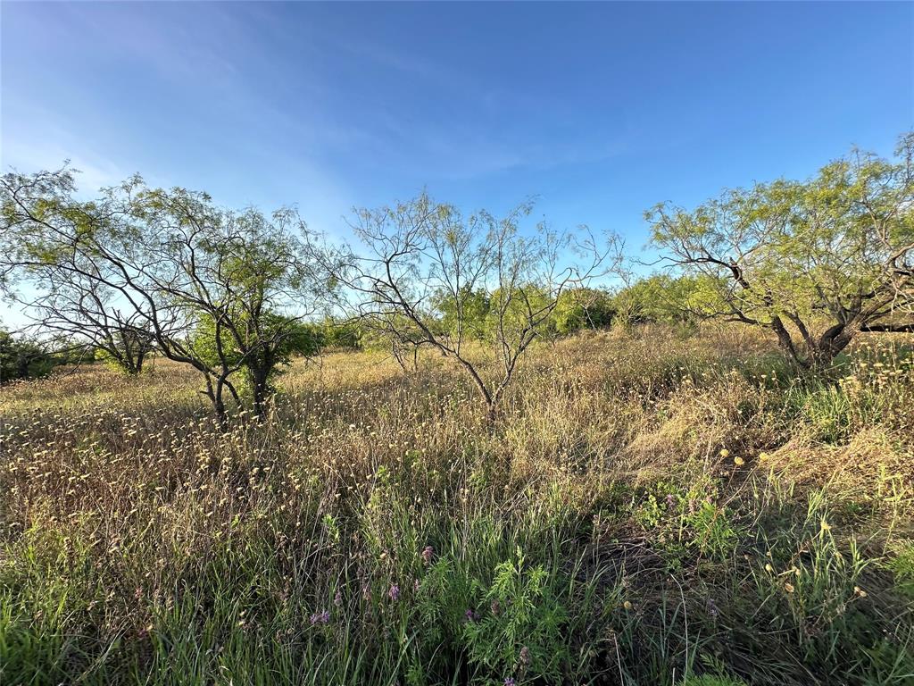 355 Ham Co Sch LD - Farm