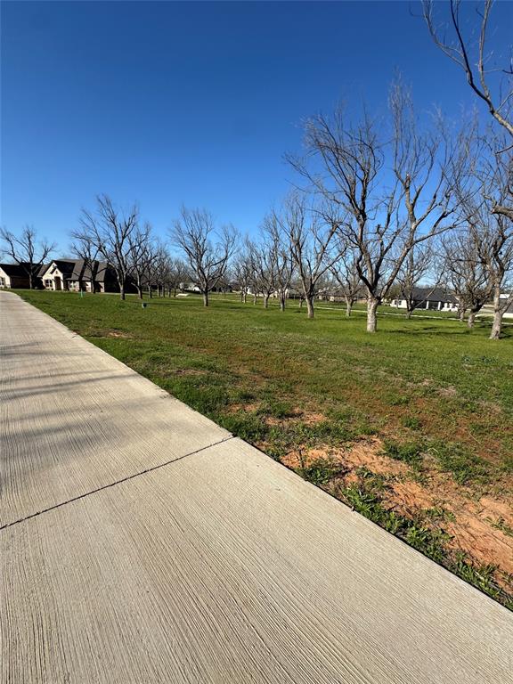Pecan Plantation in The Landings - Land