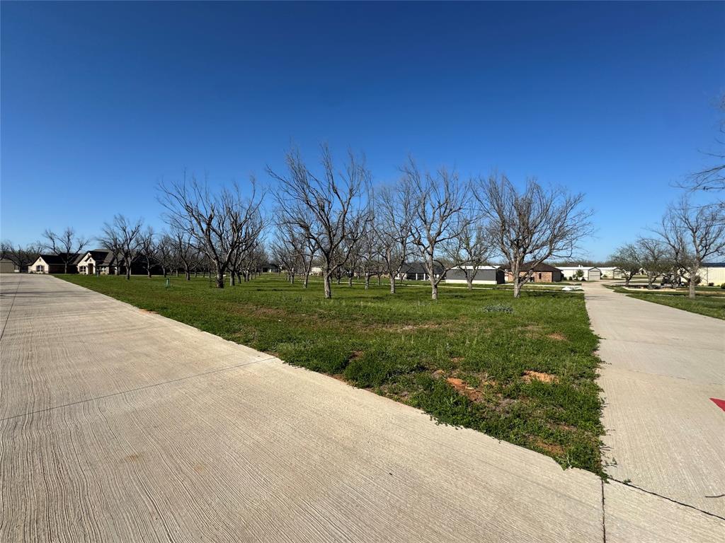 Pecan Plantation in The Landings - Land