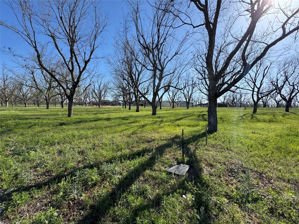 Pecan Plantation in The Landings - Land