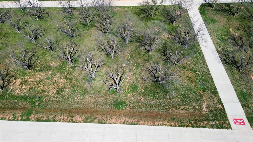 Pecan Plantation in The Landings - Land