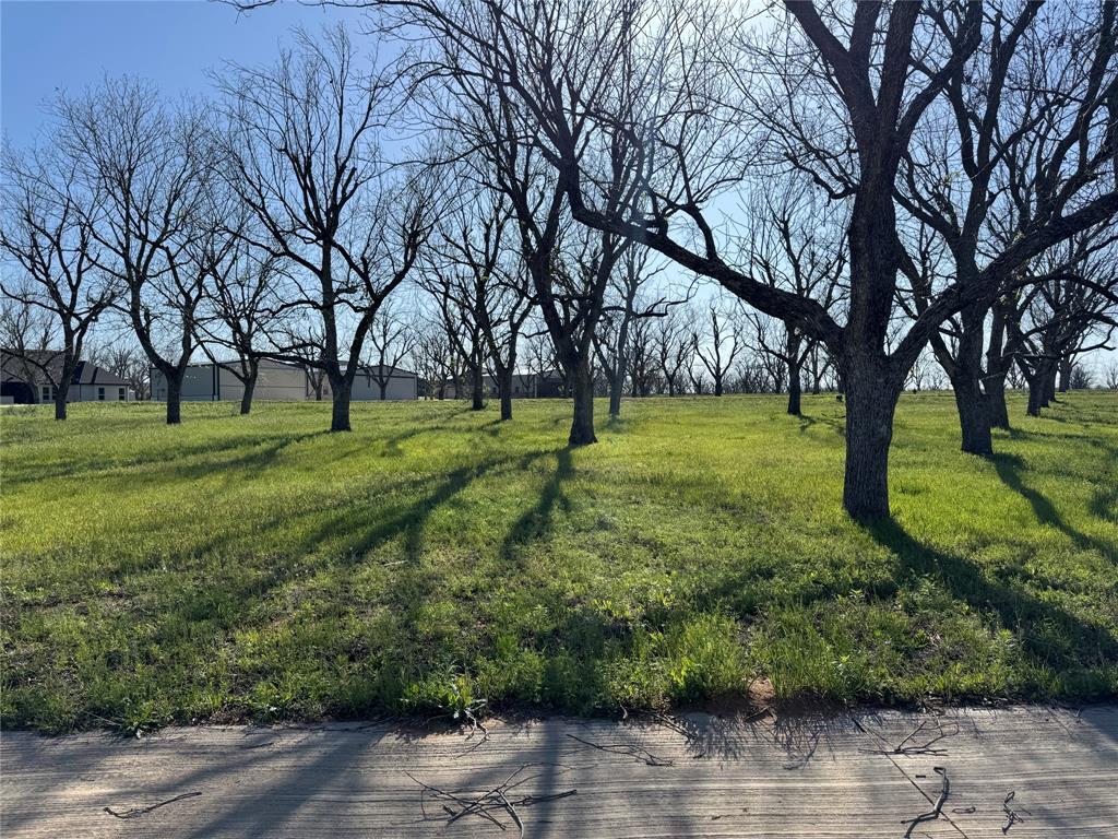 Pecan Plantation in The Landings - Land