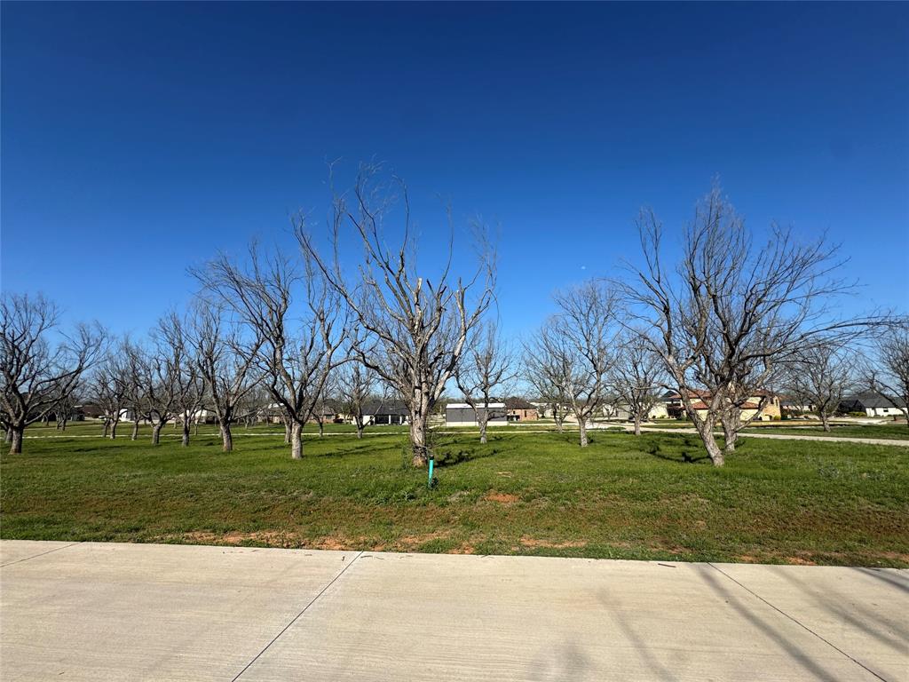 Pecan Plantation in The Landings - Land