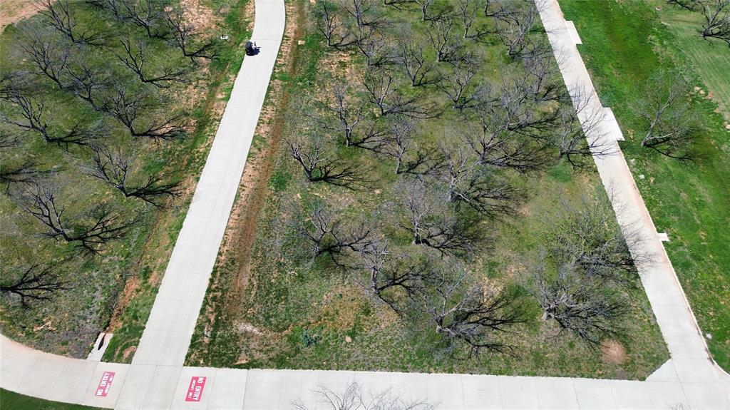 Pecan Plantation in The Landings - Land