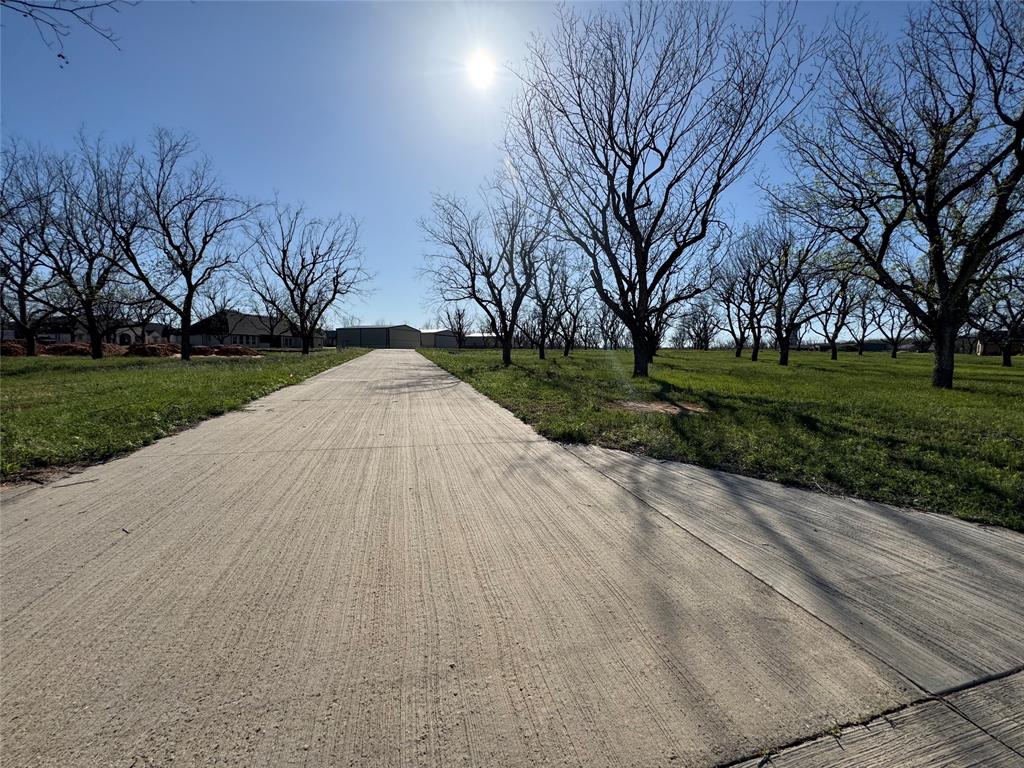 Pecan Plantation in The Landings - Land