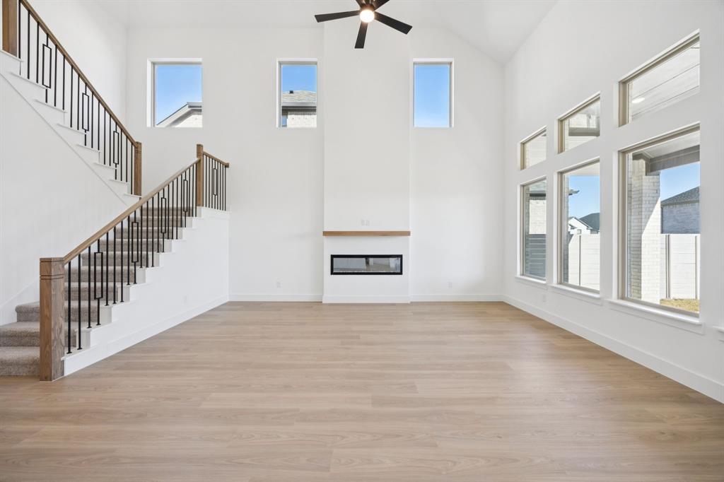 Painted Tree - Residential