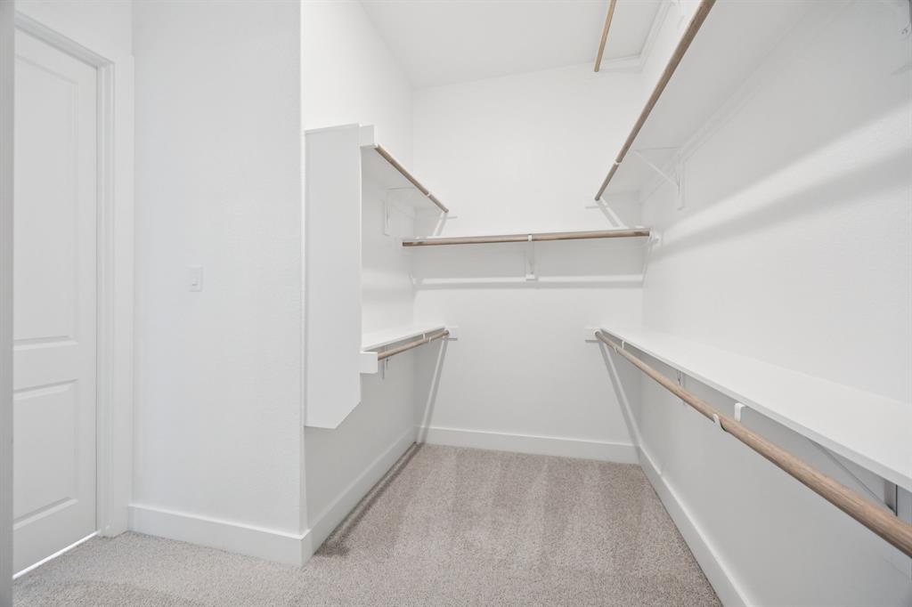 Painted Tree - Residential