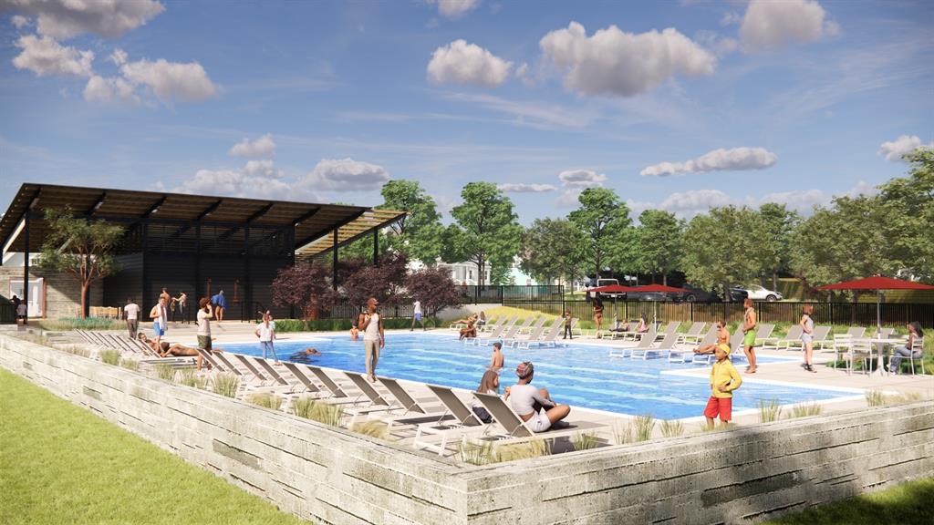 Painted Tree - Residential